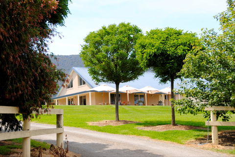 Badger Creek Blueberry Winery - Accommodation Directory 0