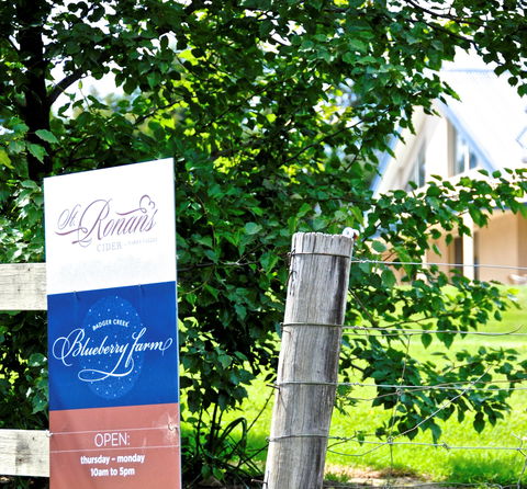 Badger Creek Blueberry Winery - Accommodation Directory 1