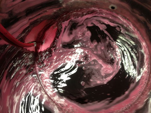 Badger Creek Blueberry Winery - Accommodation Directory 2