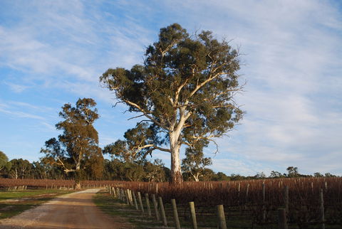 Elysian Springs - Accommodation Directory 1
