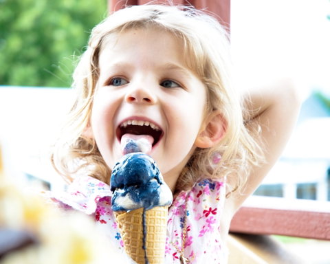 Kangaroo Valley Fudge House And Ice Creamery - Accommodation Directory 2