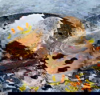 My Mistress - Accommodation Directory