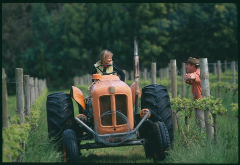 Oranje Tractor Wine - Accommodation Directory 0