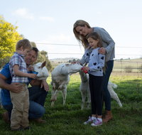 Sunhill Dairy Goats and Sunhill Skin Essentials - Accommodation Directory