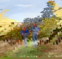 WayWood Wines - Accommodation Directory