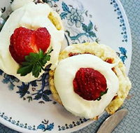 Cuisines - Accommodation Directory