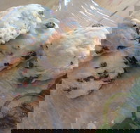 Brumby's - Clayfield - Accommodation Directory