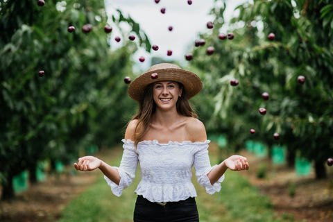 Cherryhill Orchards - Accommodation Directory 0