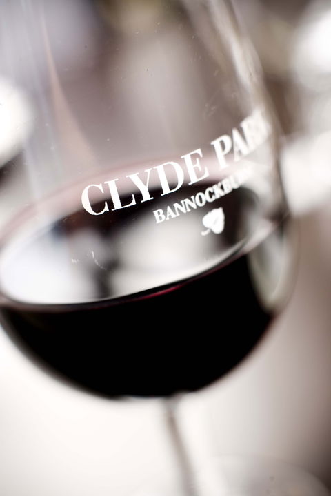 Clyde Park Vineyard & Bistro - Accommodation Directory 0