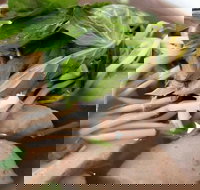 Hong Pho - Accommodation Directory