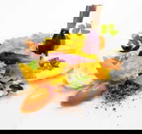 Oscillate Wildly - Accommodation Directory