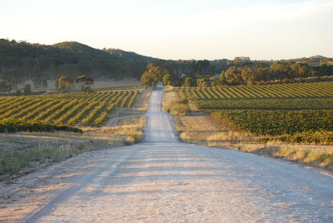 Stone Bridge Wines - Accommodation Directory 0