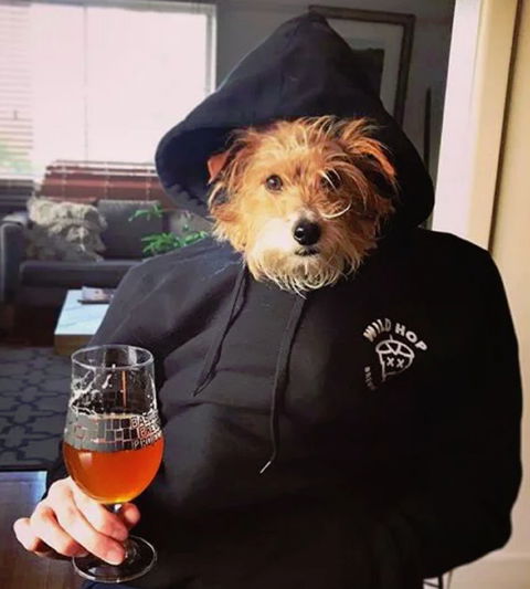 Wild Hop Brewing Company - Accommodation Directory 1