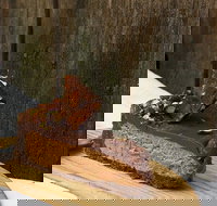 The Pie Tin - Newtown - Accommodation Directory