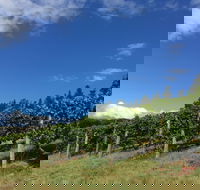 Freycinet Vineyard - Accommodation Directory