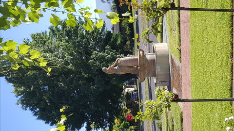 Michelini Wines - Accommodation Directory 1