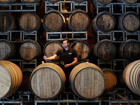 Pipers Brook Vineyard - Accommodation Directory 0