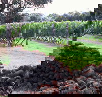 Spring Vale Vineyard - Accommodation Directory