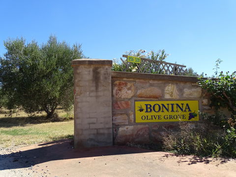Bonina Olive Grove - Accommodation Directory 1