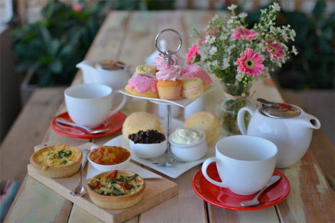 Cakes By Judy C - Accommodation Directory 0