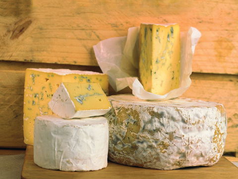 Cheese Shop At Makers' Workshop Burnie - The - Accommodation Directory 1