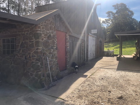 Wilmot Hills Orchard & Distillery - Accommodation Directory 1