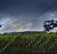 Dalrymple Vineyards - Accommodation Directory