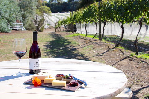 Every Man And His Dog Vineyard - Accommodation Directory 1