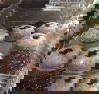 Gaffney Place - Accommodation Directory