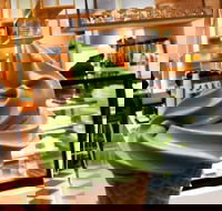 Greenccino - Accommodation Directory