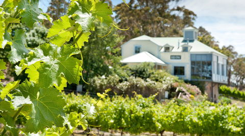 Hahndorf Hill Winery - Accommodation Directory 2