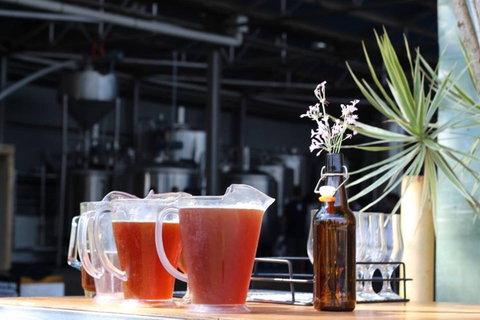 Ballistic Beer - Accommodation Directory 0