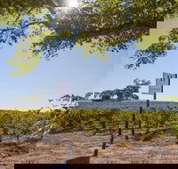 Hayes Family Wines - Accommodation Directory