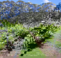 Woongooroo Estate Winery - Accommodation Directory