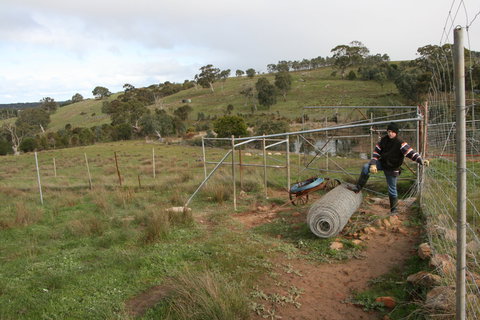 Hahndorf Venison - Accommodation Directory 1