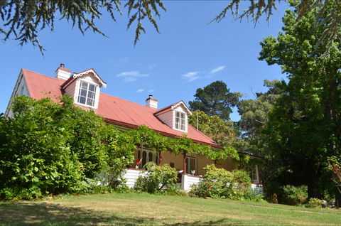 Lazy Teas - Accommodation Directory 0
