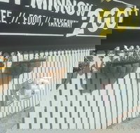 Let Minnow 2 Go - Accommodation Directory