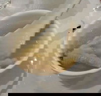 Maxim Saigon - Accommodation Directory