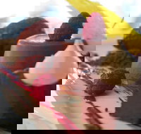 Oskars On Burleigh - Accommodation Directory