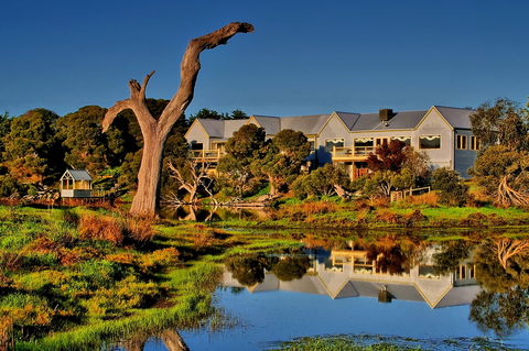The Minya Vineyard & Winery - Accommodation Directory 0