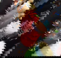 Wiseguy Espresso and Schnitzel Bar - Accommodation Directory