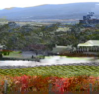 Milton Vineyard - Accommodation Directory