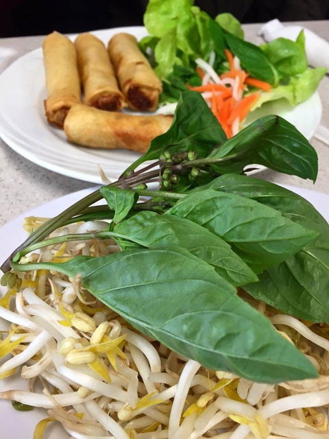 PHO 234 - Accommodation Directory 0