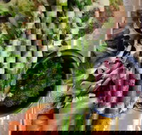 Sasaki - Accommodation Directory