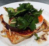 The Teal Turtle Cafe - Accommodation Directory