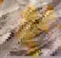 Taylors Lakes Fish  Chips - Accommodation Directory