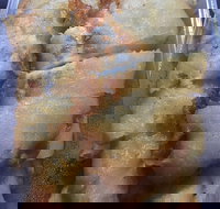 New Dragon - Accommodation Directory