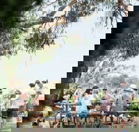 St Leonards Vineyard Caf - Accommodation Directory