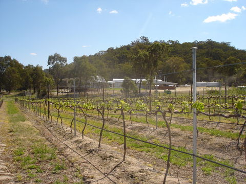 Banca Ridge Cellar Door And Vineyard - Accommodation Directory 2