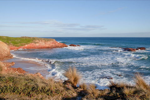 The Cape Kitchen - Accommodation Directory 0